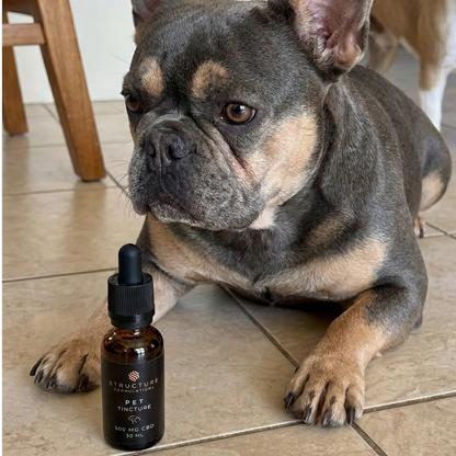 Pet Tincture 600mg
